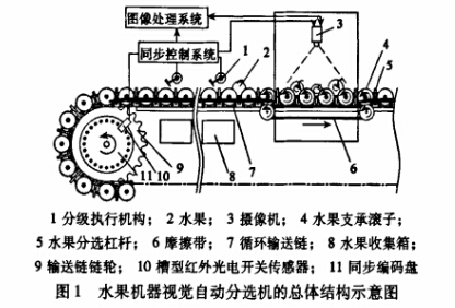 分揀輸送機